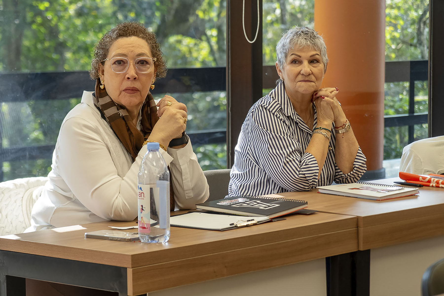 1 / 27 - Diplomado en Asesoría Familiar: Un Paso Hacia el Fortalecimiento de los Lazos Familiares