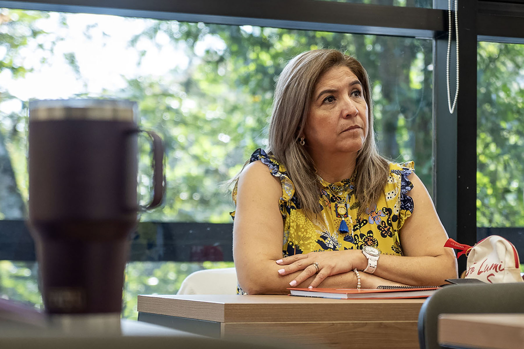 6 / 27 - Diplomado en Asesoría Familiar: Un Paso Hacia el Fortalecimiento de los Lazos Familiares