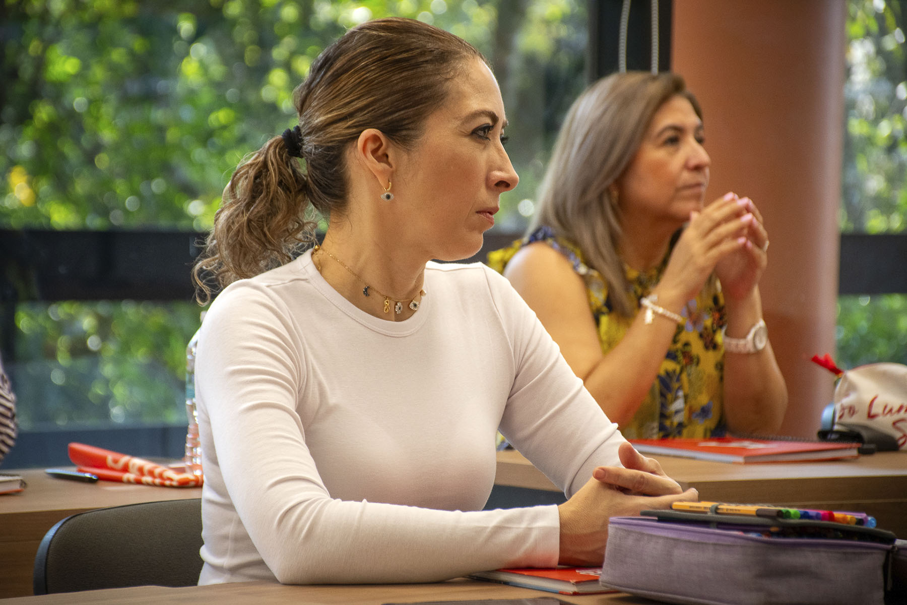 15 / 27 - Diplomado en Asesoría Familiar: Un Paso Hacia el Fortalecimiento de los Lazos Familiares