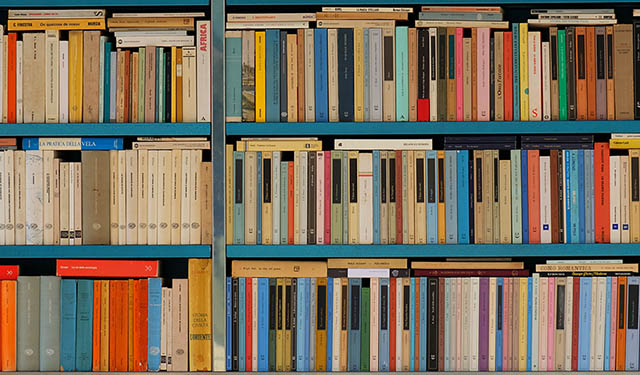 Adquisiciones Bibliográficas en Mayo de 2025