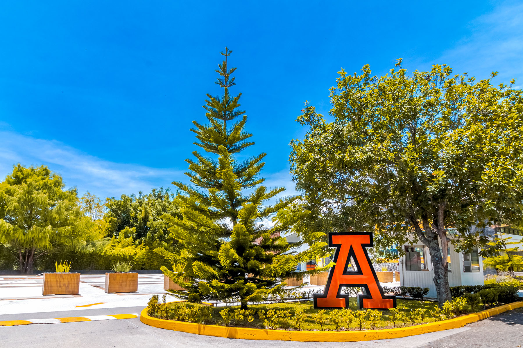 7 / 8 - Curso de Verano Anáhuac 2025