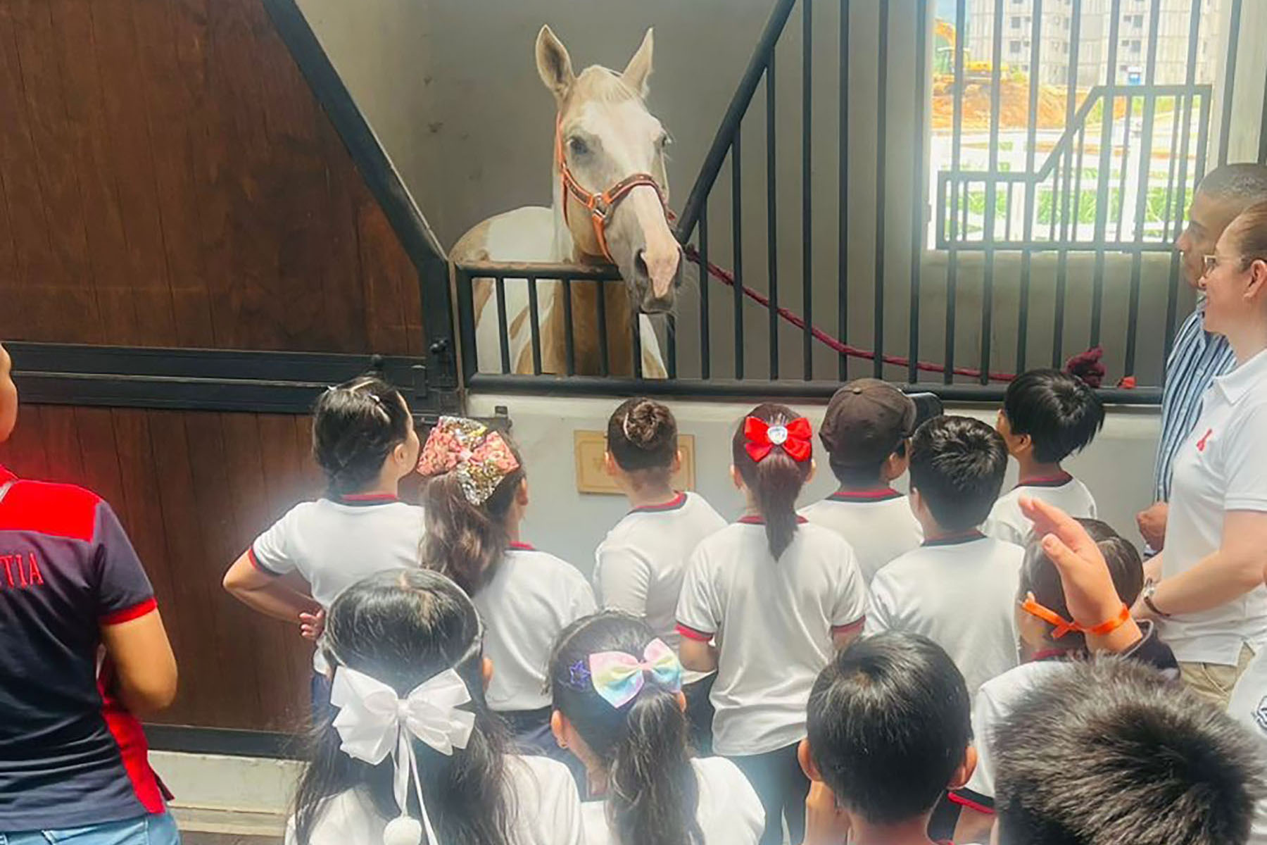 13 / 16 - La Escuela de Medicina Celebró la 3.ª Feria Binacional: Cuidando mi Salud Desde Pequeño 13 / 16 - La Escuela de Medicina Celebró la 3.ª Feria Binacional: Cuidando mi Salud Desde Pequeño