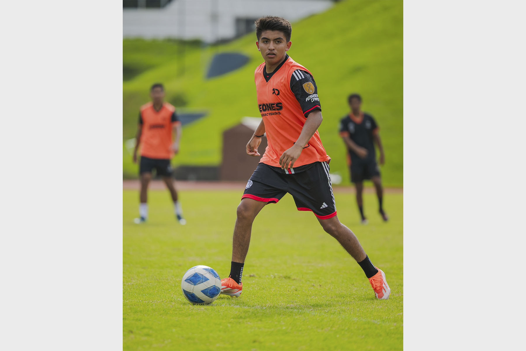 7 / 7 - Leones Confirma su Debut en la Conferencia Nacional de Fútbol Soccer