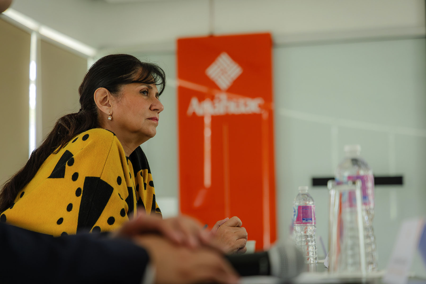 4 / 10 - Instauración del Consejo Consultivo Académico de Diseño Industrial
