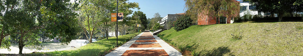 Noticias de Psicología