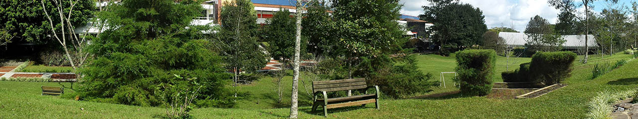 Eventos de Servicios