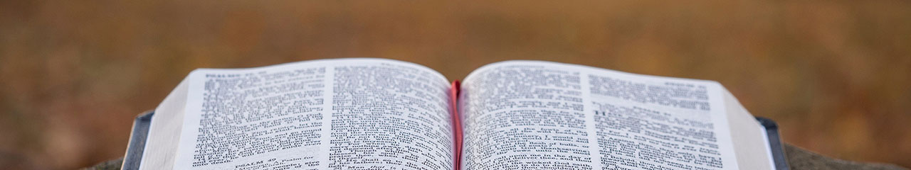 Adquisiciones Bibliográficas en Noviembre de 2025