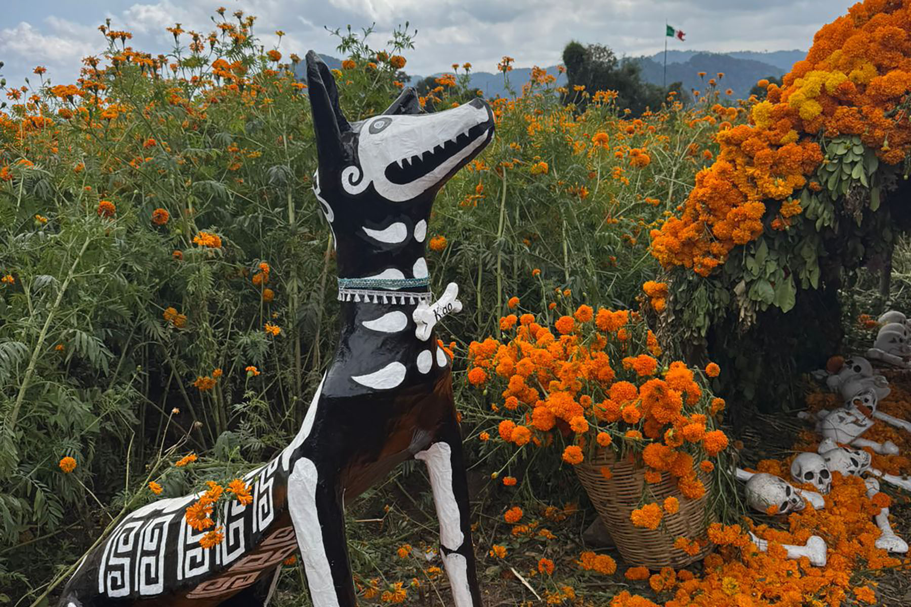 7 / 7 - Viviendo las Tradiciones: Alumnos Visitan Naolinco en el Día de Muertos 7 / 7 - Viviendo las Tradiciones: Alumnos Visitan Naolinco en el Día de Muertos