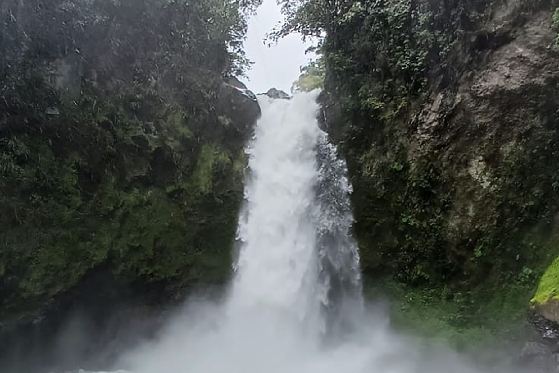 9 / 25 - Curso de Español de Propósitos Específicos de Medicina 9 / 25 - Curso de Español de Propósitos Específicos de Medicina