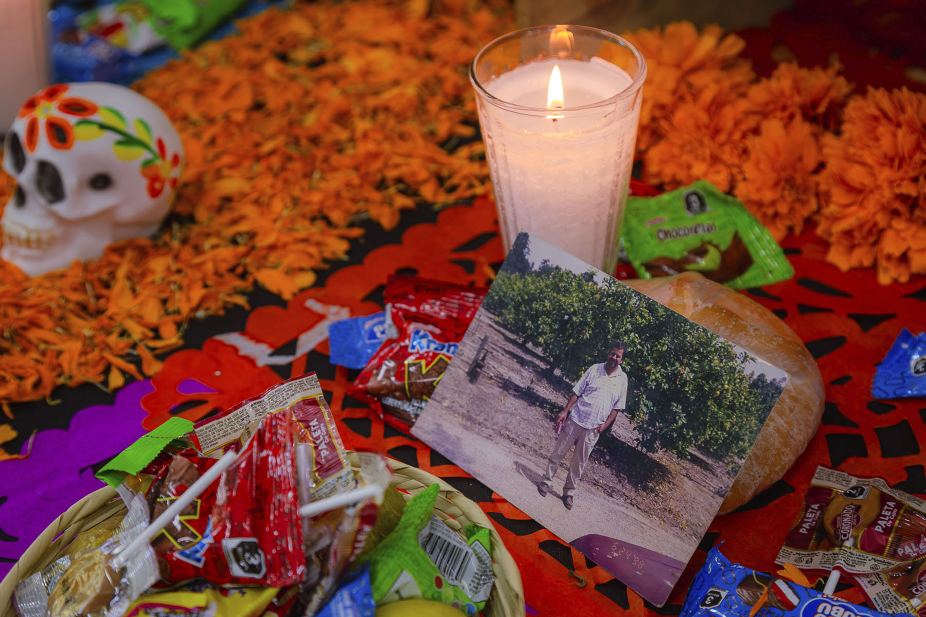 4 / 25 - Festín de Día de Muertos: Posgrados y Educación Continua 4 / 25 - Festín de Día de Muertos: Posgrados y Educación Continua