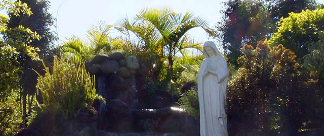 Noticias de Identidad