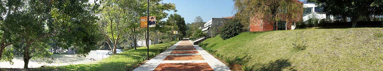 Noticias del Centro de Lenguas