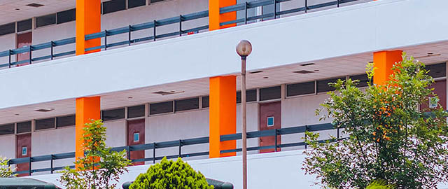 Noticias de Psicología