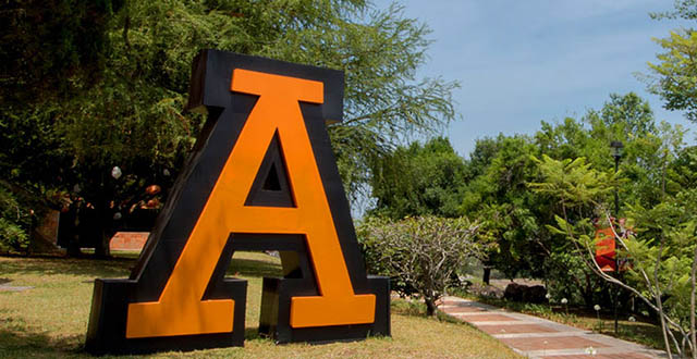 Noticias de Servicios