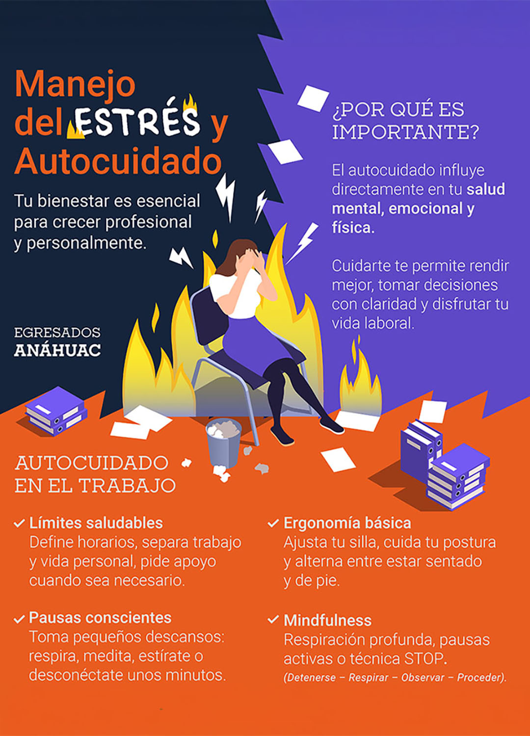 1 / 8 - Herramientas de Desarrollo Profesional 1 / 8 - Herramientas de Desarrollo Profesional