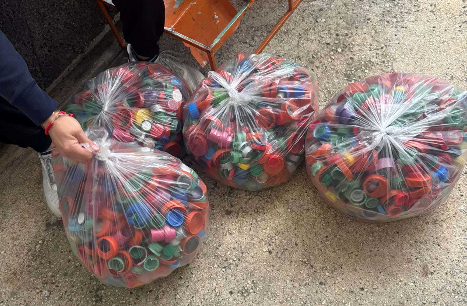 2 / 6 - Proyecto Social de Estudiantes de Administración y Dirección de Empresas: Dona Vida 2 / 6 - Proyecto Social de Estudiantes de Administración y Dirección de Empresas: Dona Vida