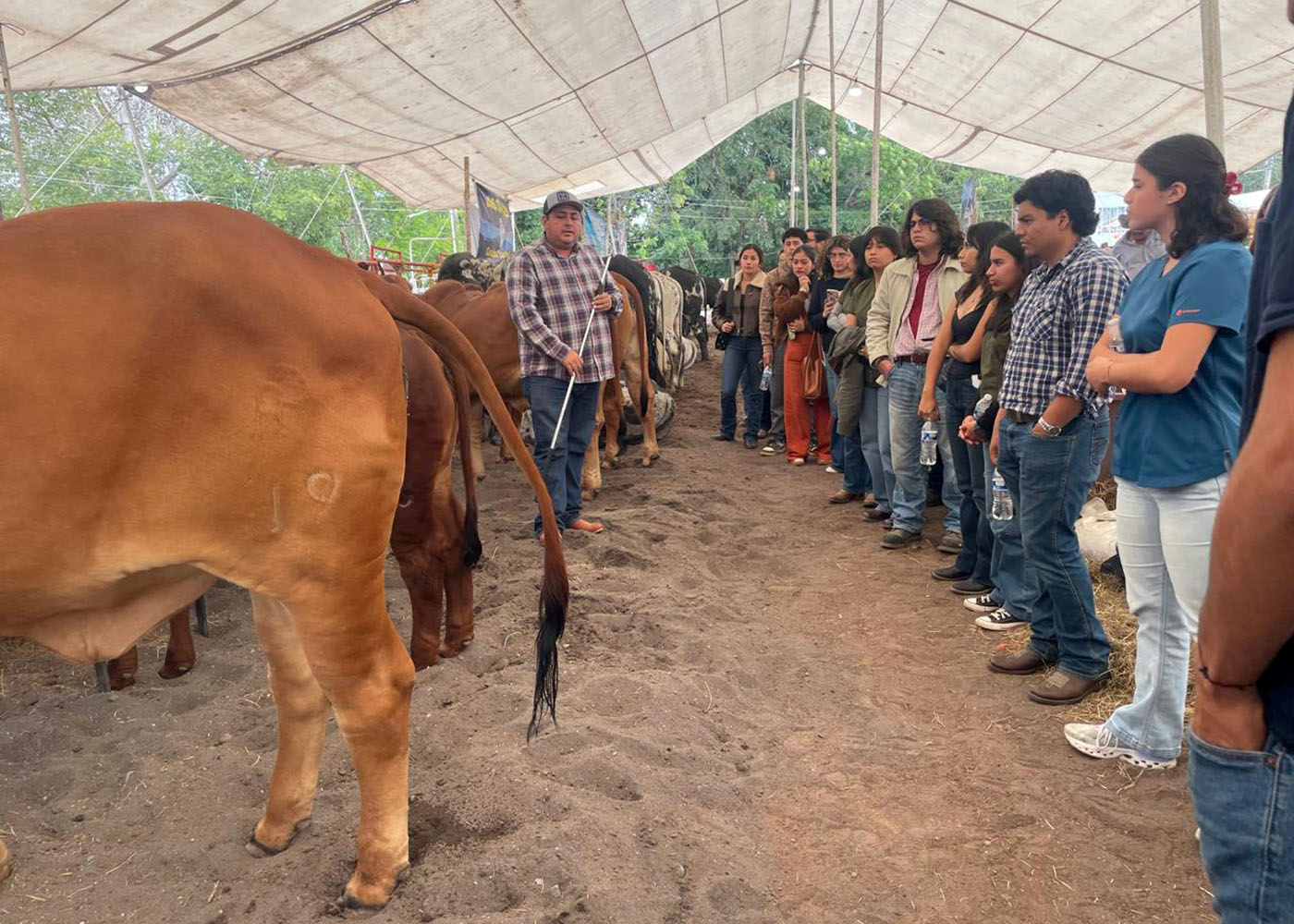 1 / 5 - Estudiantes de Veterinaria Fortalecen su Aprendizaje en la Expo Feria de la Candelaria 1 / 5 - Estudiantes de Veterinaria Fortalecen su Aprendizaje en la Expo Feria de la Candelaria