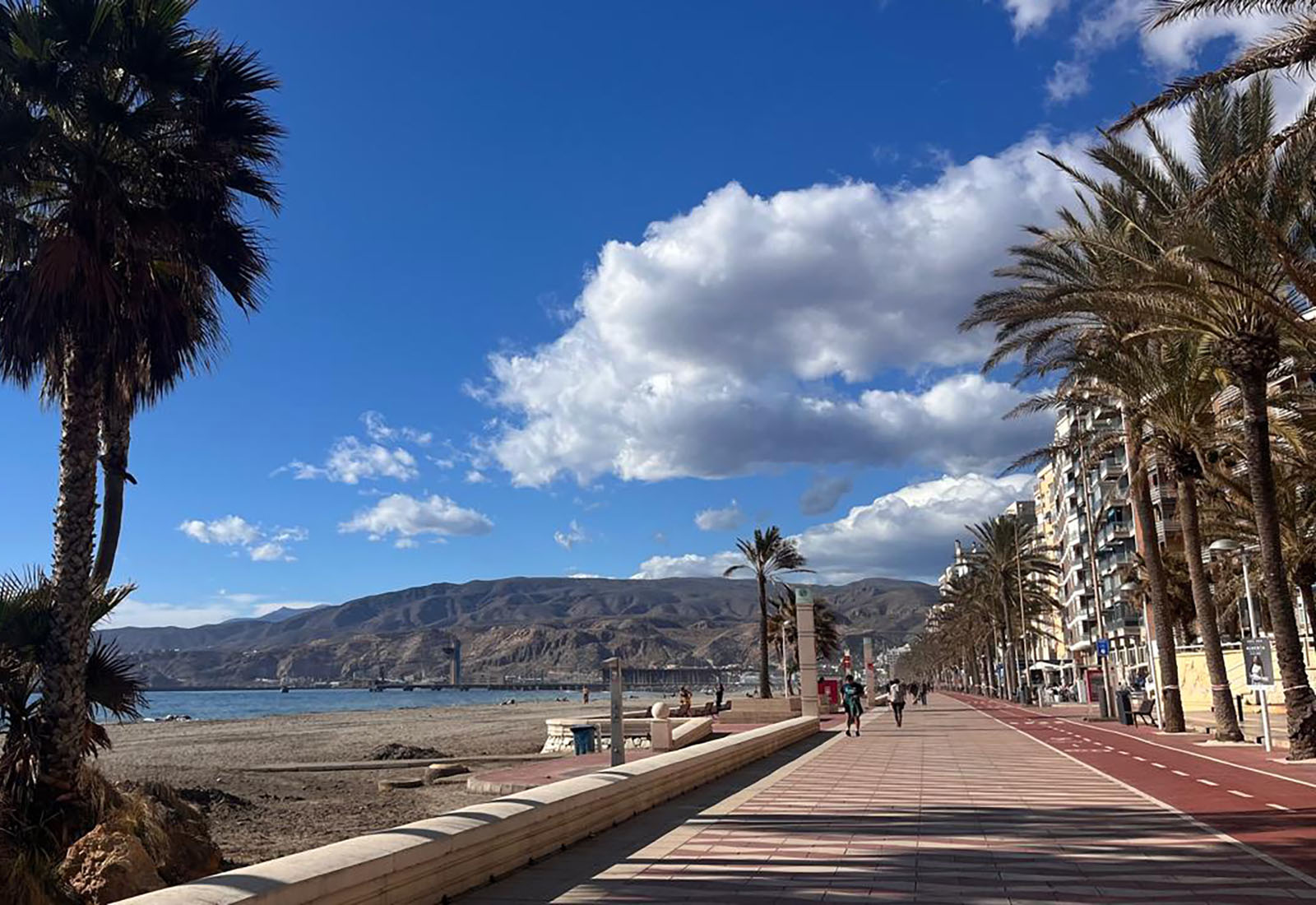 3 / 18 - Estudiantes de Intercambio del Primer Semestre de 2026 3 / 18 - Estudiantes de Intercambio del Primer Semestre de 2026