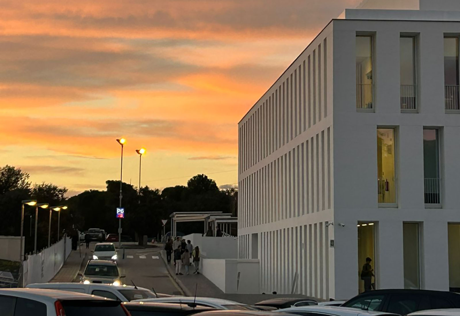 16 / 18 - Estudiantes de Intercambio del Primer Semestre de 2026 16 / 18 - Estudiantes de Intercambio del Primer Semestre de 2026