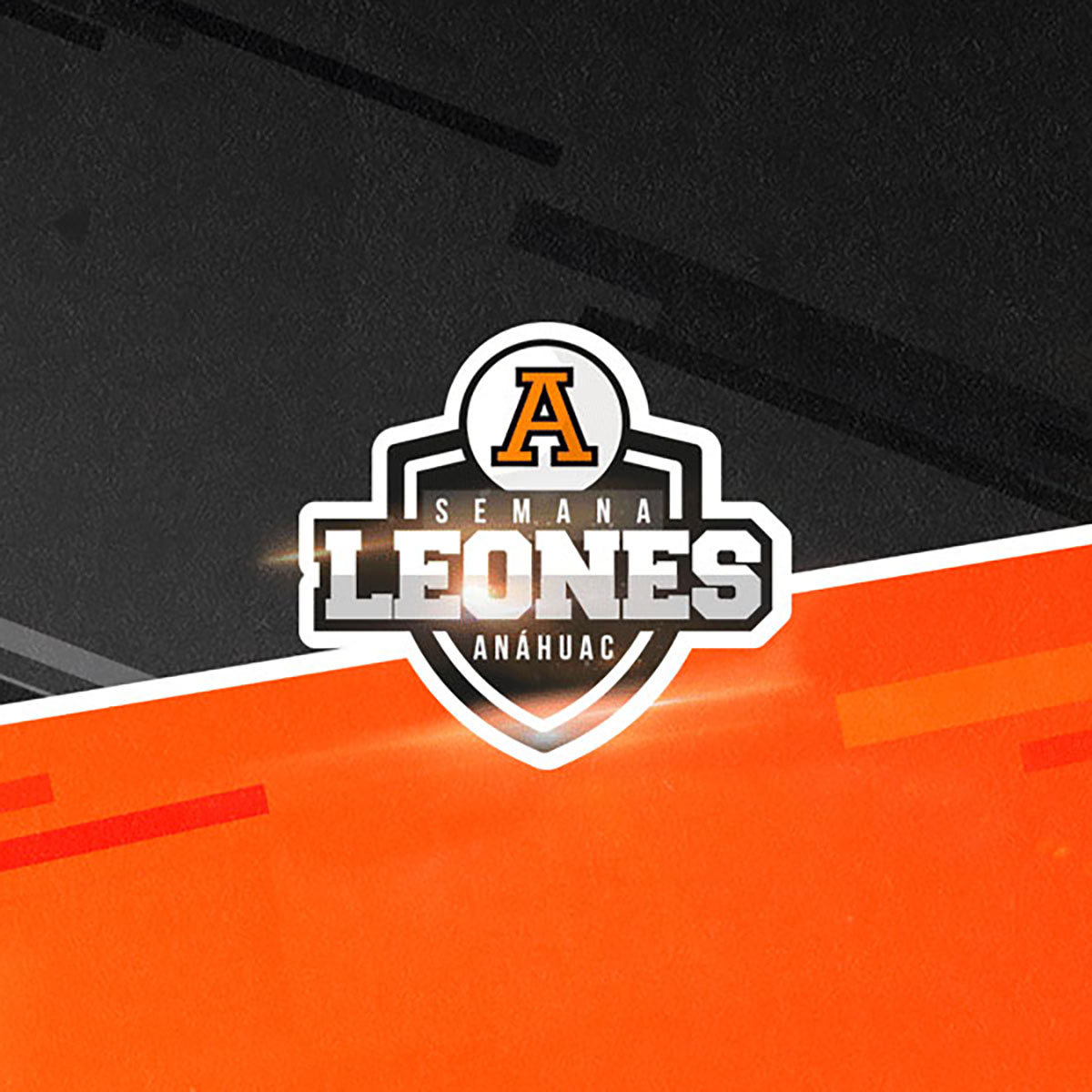 Cerrar vista en pantalla completa Semana Leones 2018