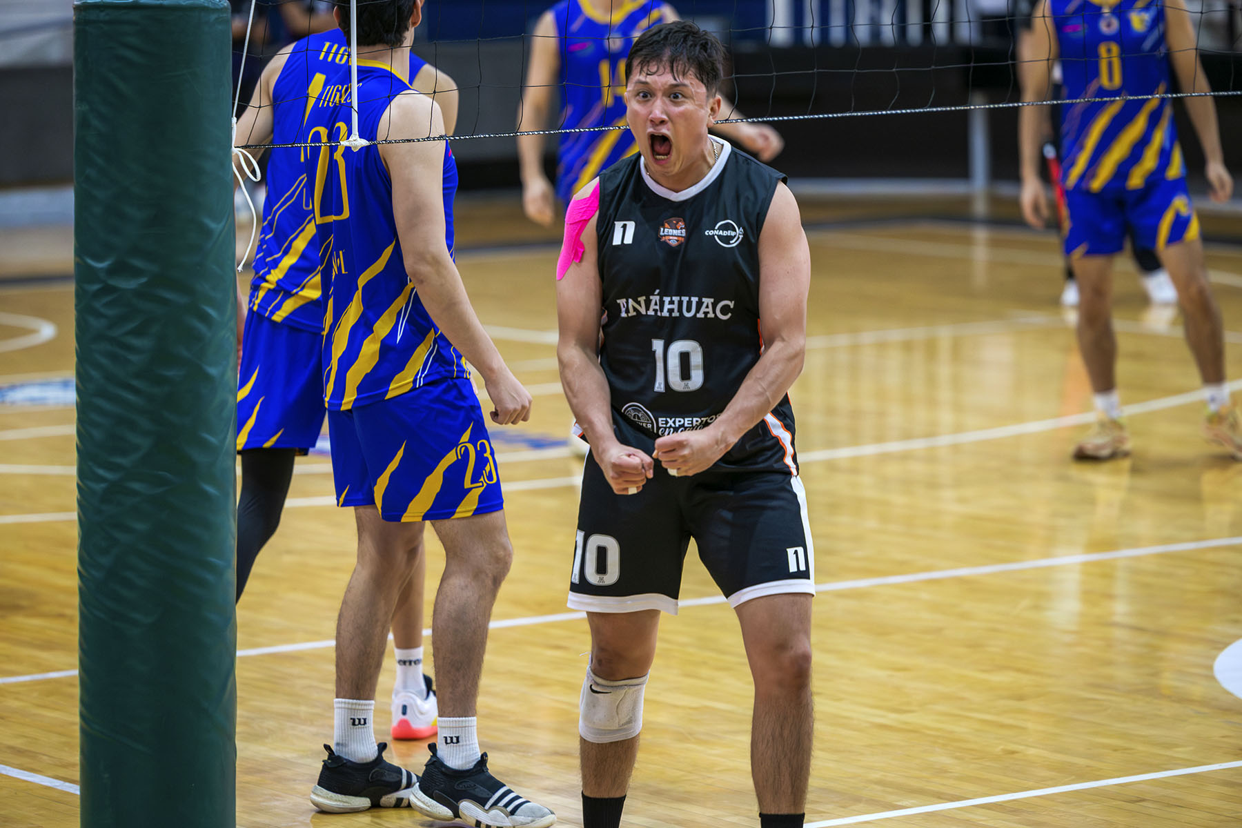 1 / 9 - Leones Conquistan el Tercer Lugar Nacional en Voleibol 1 / 9 - Leones Conquistan el Tercer Lugar Nacional en Voleibol