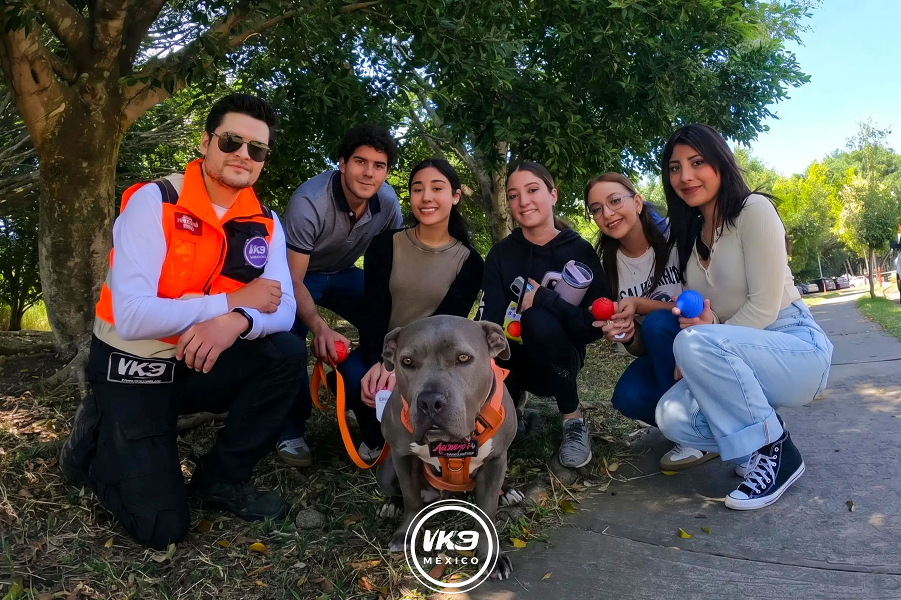 1 / 6 - Voluntariado K9 México: Servicio Social que Trasciende Vidas 1 / 6 - Voluntariado K9 México: Servicio Social que Trasciende Vidas