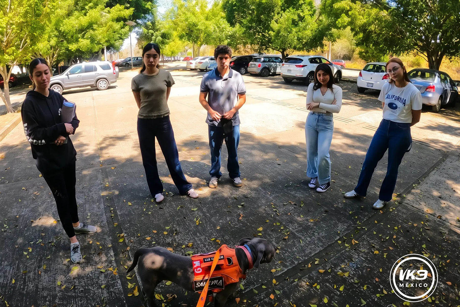2 / 6 - Voluntariado K9 México: Servicio Social que Trasciende Vidas 2 / 6 - Voluntariado K9 México: Servicio Social que Trasciende Vidas
