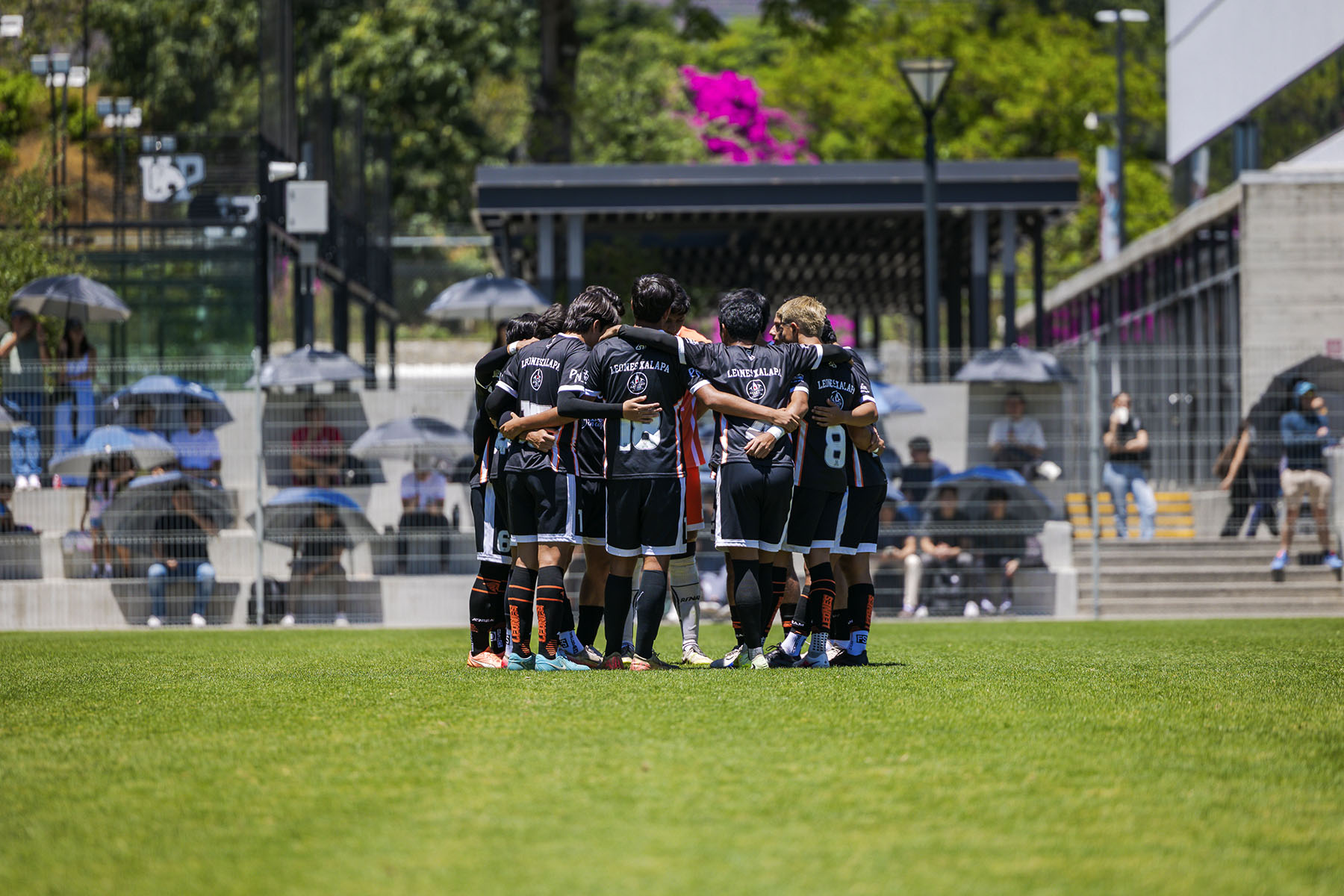 1 / 4 - Leones Cumple Cuatro Años Entre los Mejores del País en Fútbol Soccer 1 / 4 - Leones Cumple Cuatro Años Entre los Mejores del País en Fútbol Soccer