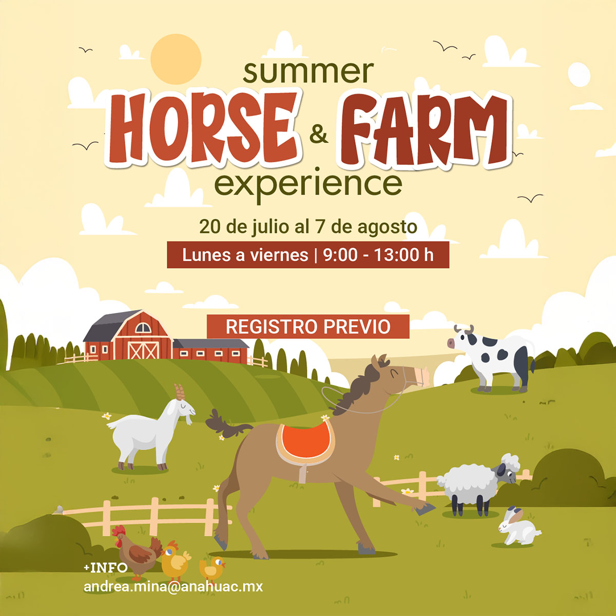 Cerrar vista en pantalla completa Summer Horse & Farm Experience
