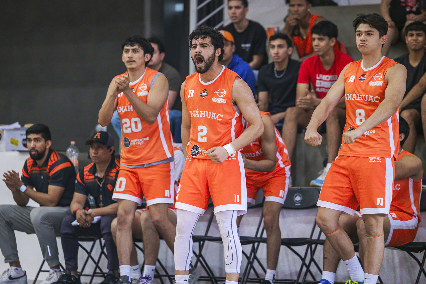 1 / 4 - Leones Busca dar un Salto Competitivo en su Segundo Año en División I 1 / 4 - Leones Busca dar un Salto Competitivo en su Segundo Año en División I