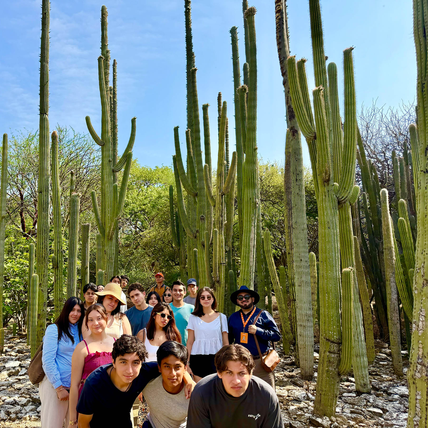 4 / 19 - Viaje de Arquitectura para conocer el Legado Prehispánico y Colonial de Oaxaca 4 / 19 - Viaje de Arquitectura para conocer el Legado Prehispánico y Colonial de Oaxaca