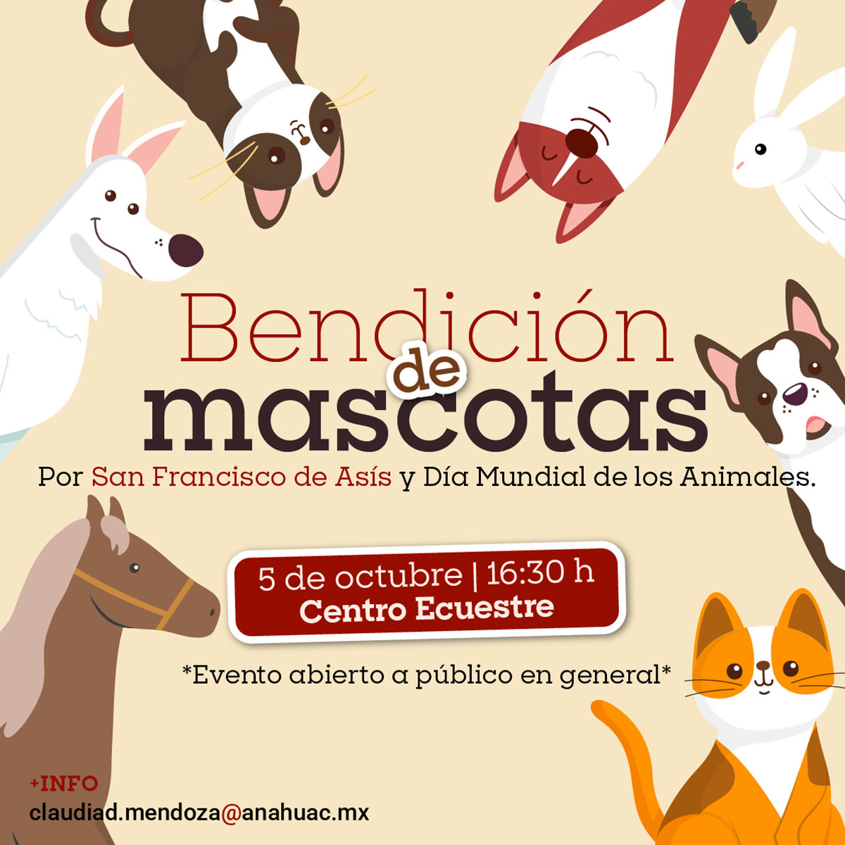 Bendición de Mascotas