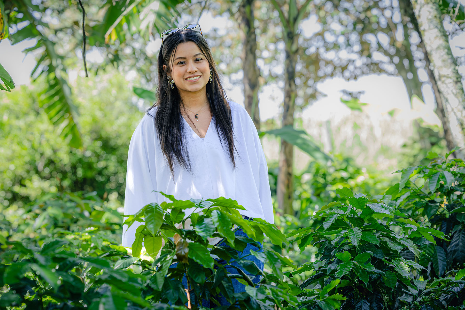 7 / 88 - Curso en Cultura y Cata de Café para Colaboradores de Sorteo Anáhuac 7 / 88 - Curso en Cultura y Cata de Café para Colaboradores de Sorteo Anáhuac