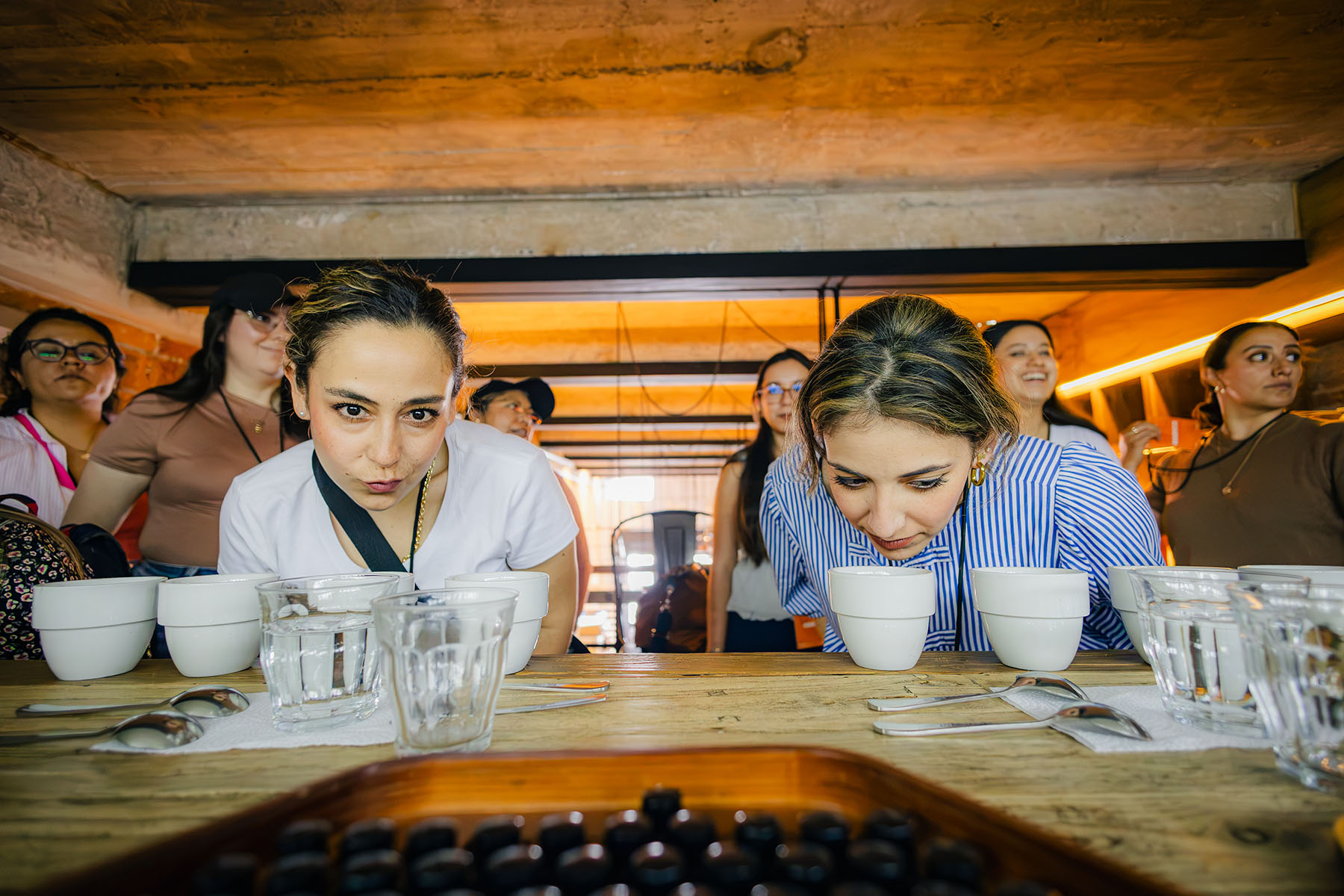 34 / 88 - Curso en Cultura y Cata de Café para Colaboradores de Sorteo Anáhuac 34 / 88 - Curso en Cultura y Cata de Café para Colaboradores de Sorteo Anáhuac