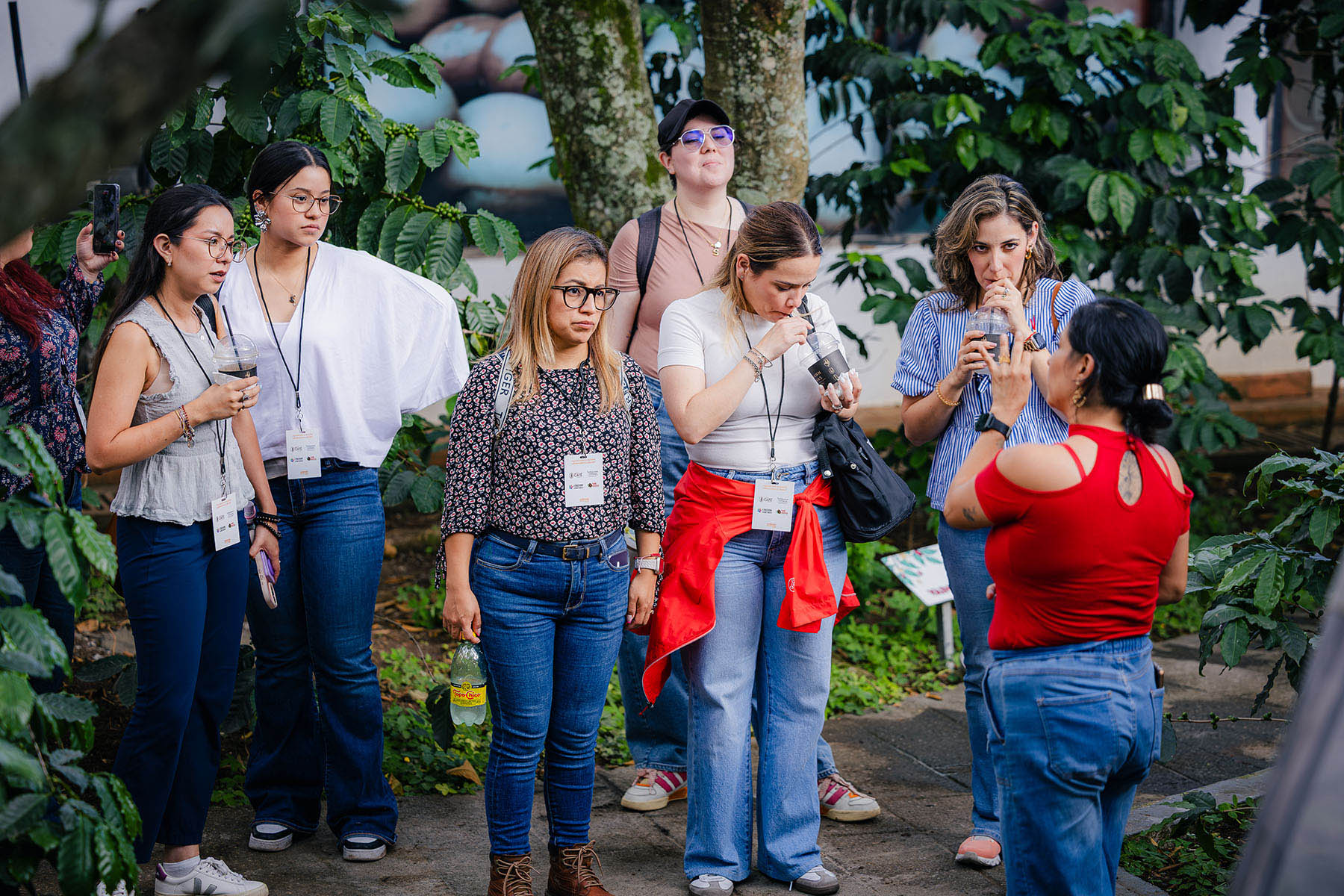 45 / 88 - Curso en Cultura y Cata de Café para Colaboradores de Sorteo Anáhuac 45 / 88 - Curso en Cultura y Cata de Café para Colaboradores de Sorteo Anáhuac