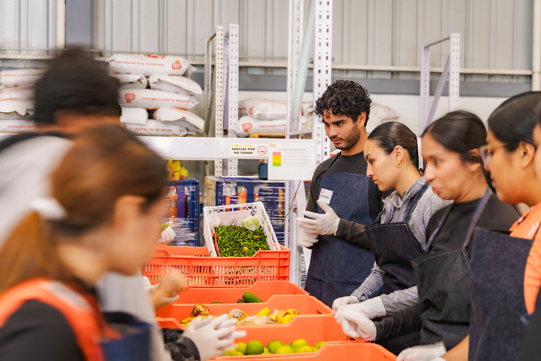 5 / 12 - Leones de Tocho Bandera Llevan su Espíritu de Equipo al Banco de Alimentos de Xalapa 5 / 12 - Leones de Tocho Bandera Llevan su Espíritu de Equipo al Banco de Alimentos de Xalapa