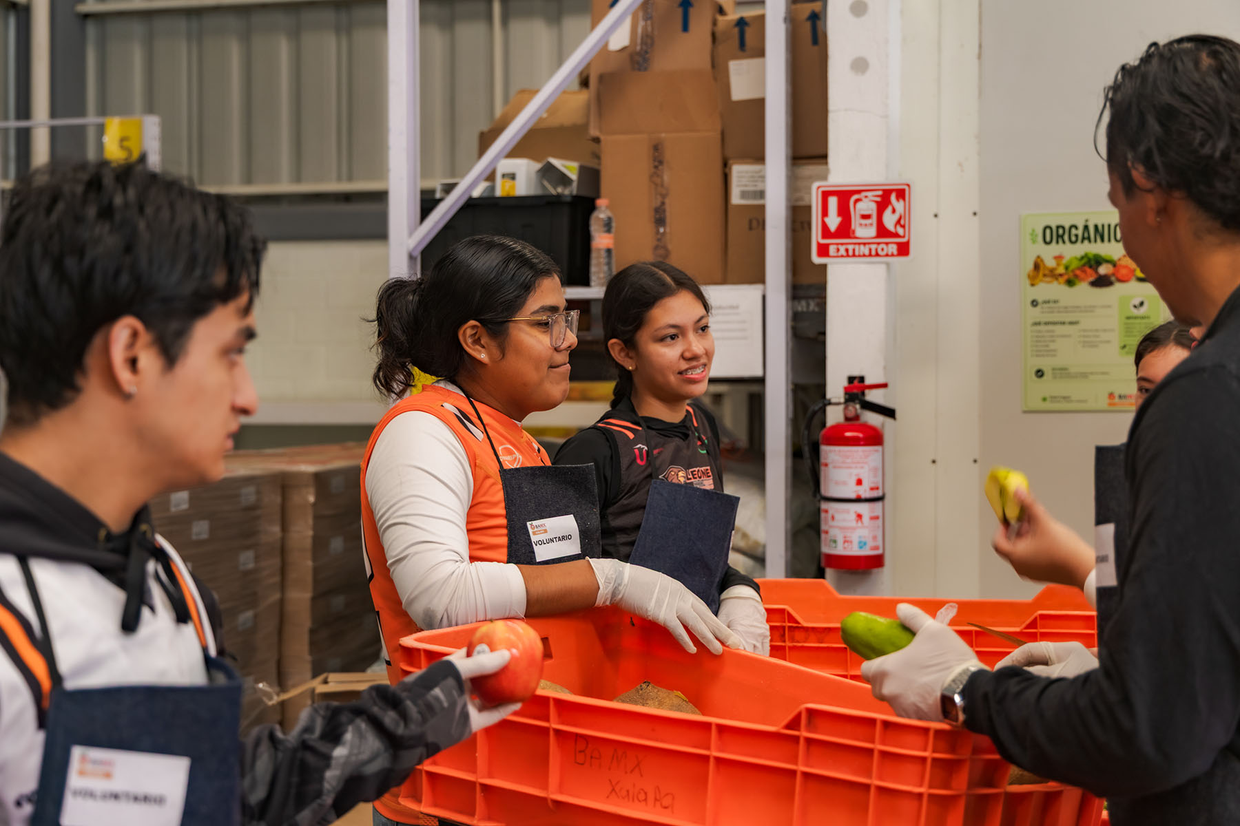 10 / 12 - Leones de Tocho Bandera Llevan su Espíritu de Equipo al Banco de Alimentos de Xalapa 10 / 12 - Leones de Tocho Bandera Llevan su Espíritu de Equipo al Banco de Alimentos de Xalapa