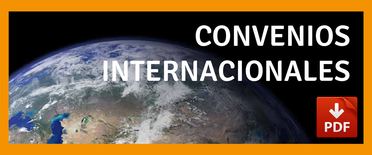 Convenios Internacionales