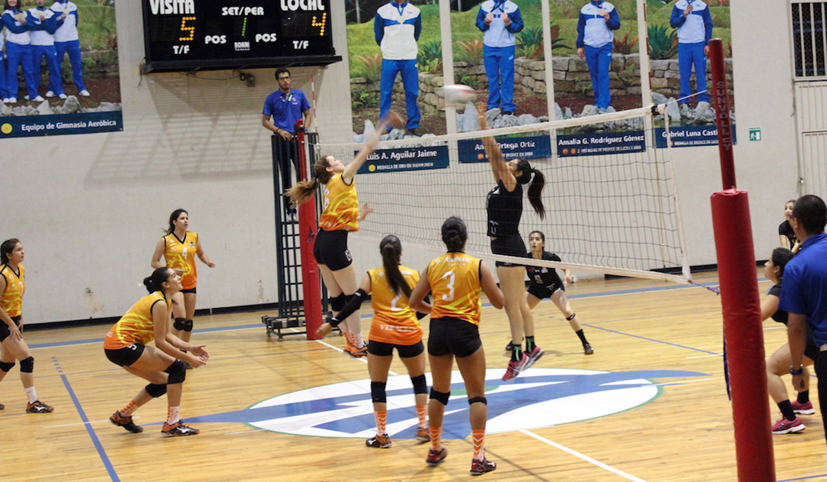 Regional de Universiada Voleibol