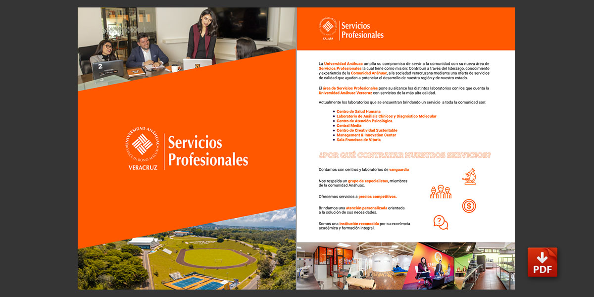 Folleto de Servicios Profesionales