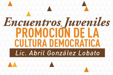 Promoción de la Cultura Democrática