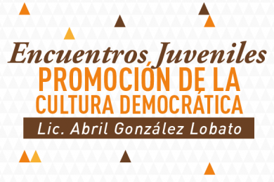 Promoción de la Cultura Democrática