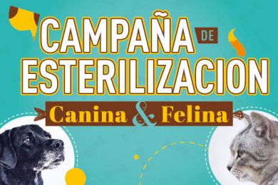 Campaña de Esterilización Canina y Felina