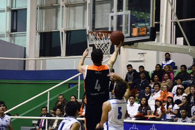 Leones triunfan sobre los Halcones