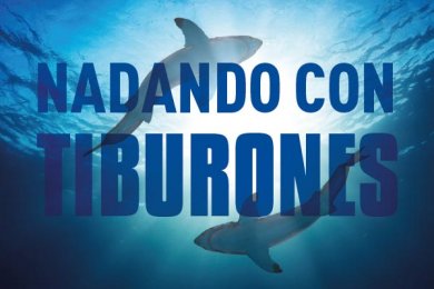 Nadando con Tiburones