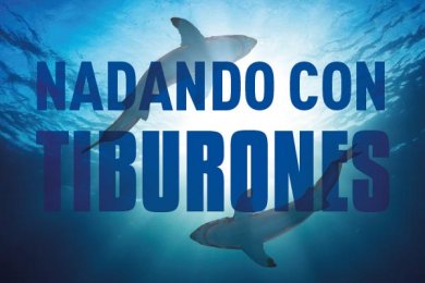 Nadando con Tiburones