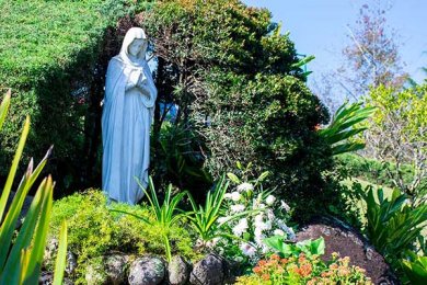 La Virgen de Guadalupe nos Acompaña en Todo Momento