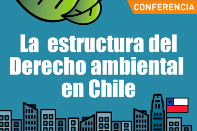 La Estructura del Derecho Ambiental en Chile