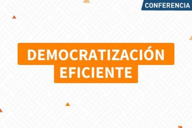 Democratización Eficiente y su Impacto en la Administración Pública