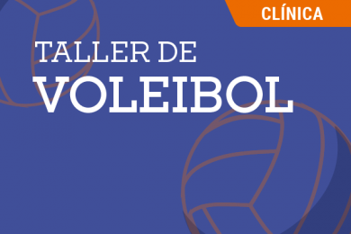 Taller de Voleibol